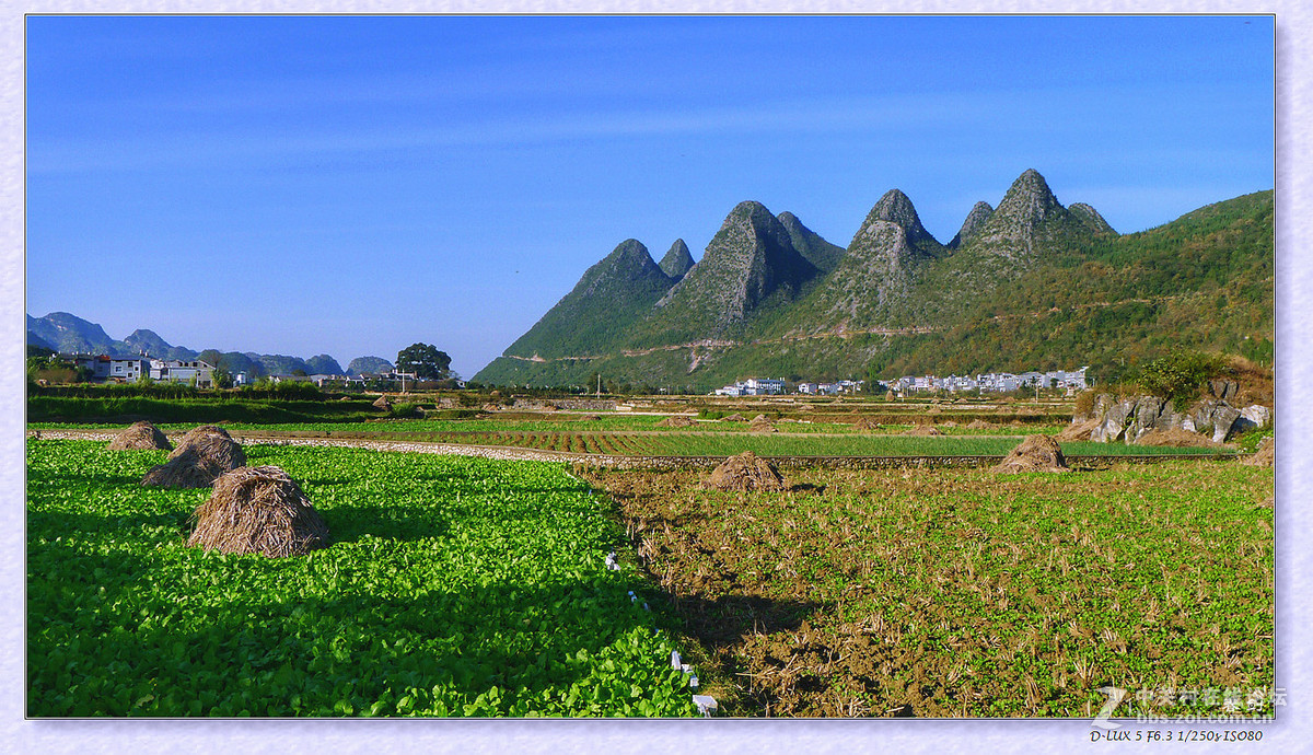 冬日万峰林（1）