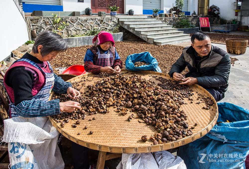 婺源县大潋山老油坊
