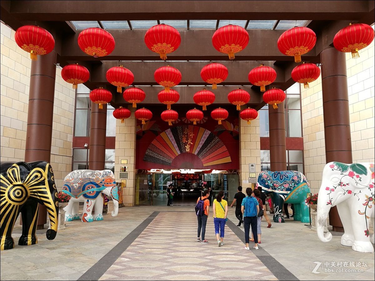 休闲随拍（355）