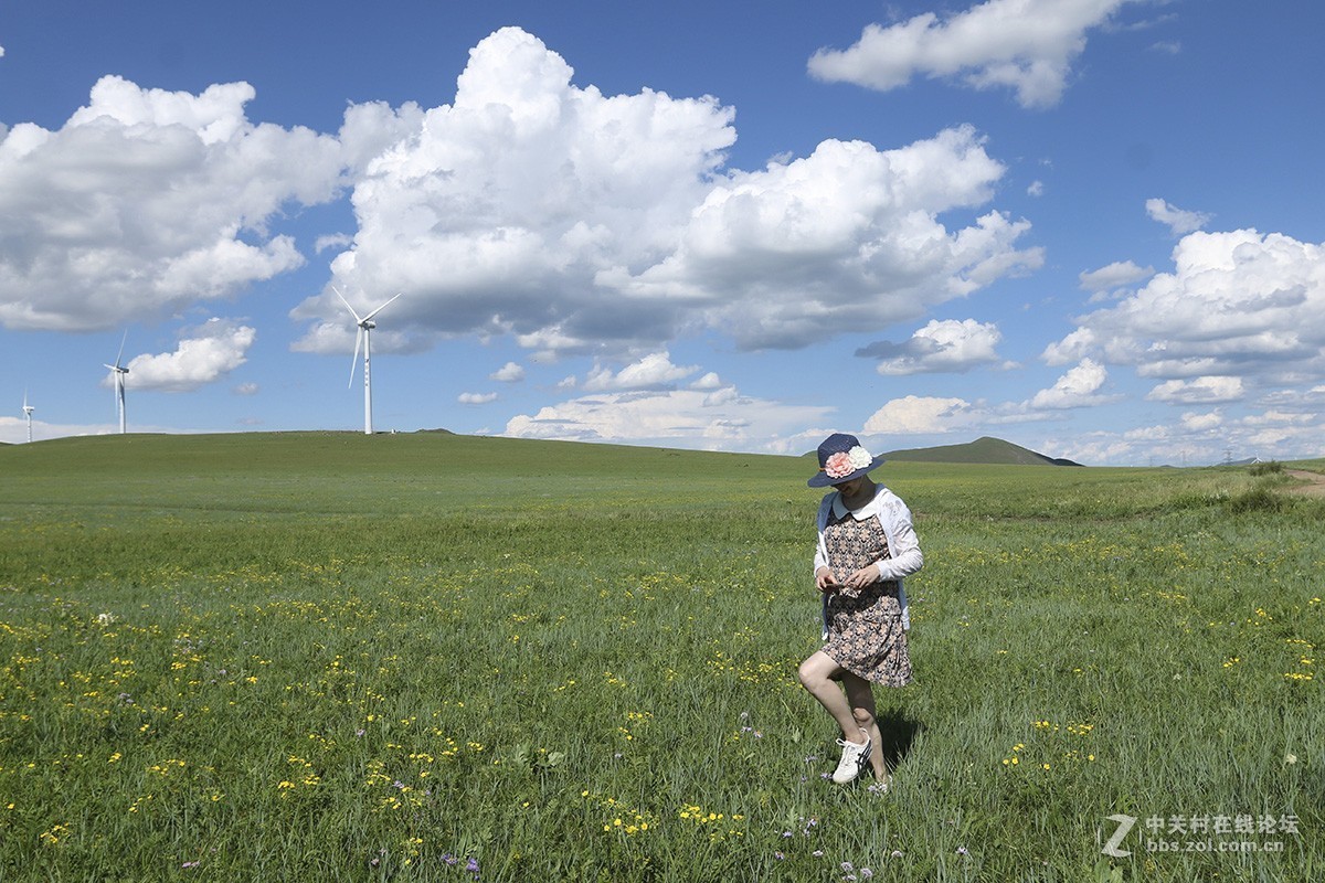 锡林浩特鸽子山风光