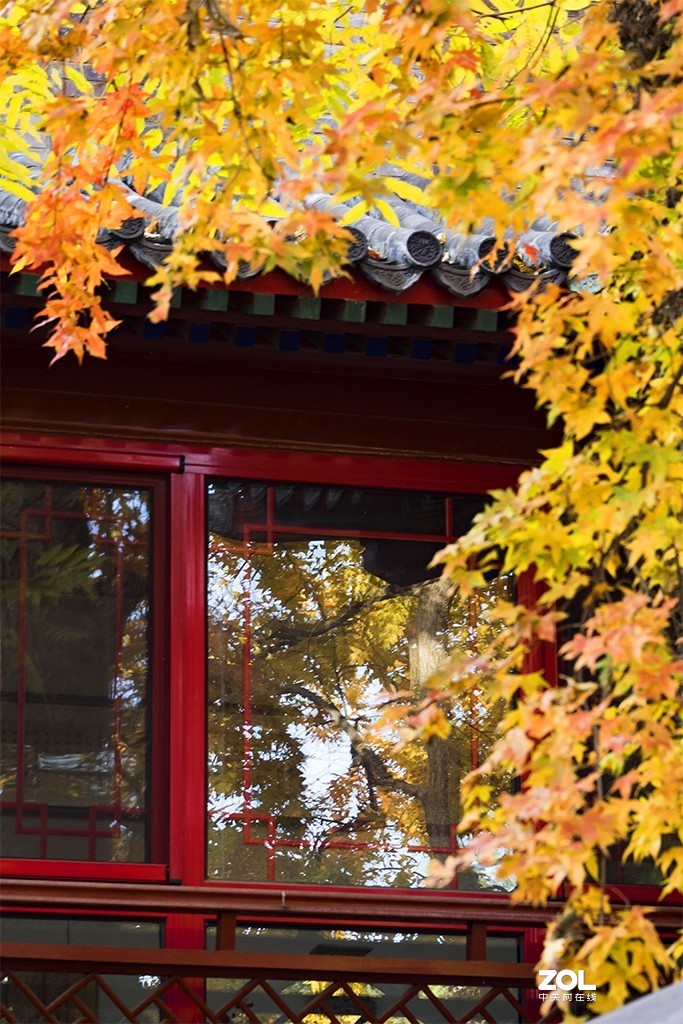 #ZOL月赛晒秋#秋到大觉寺