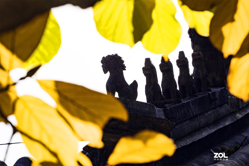 #ZOL月赛晒秋#秋到大觉寺