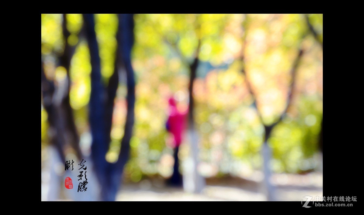 光影朦胧2———失焦摄影试拍-中关村在线摄影论坛