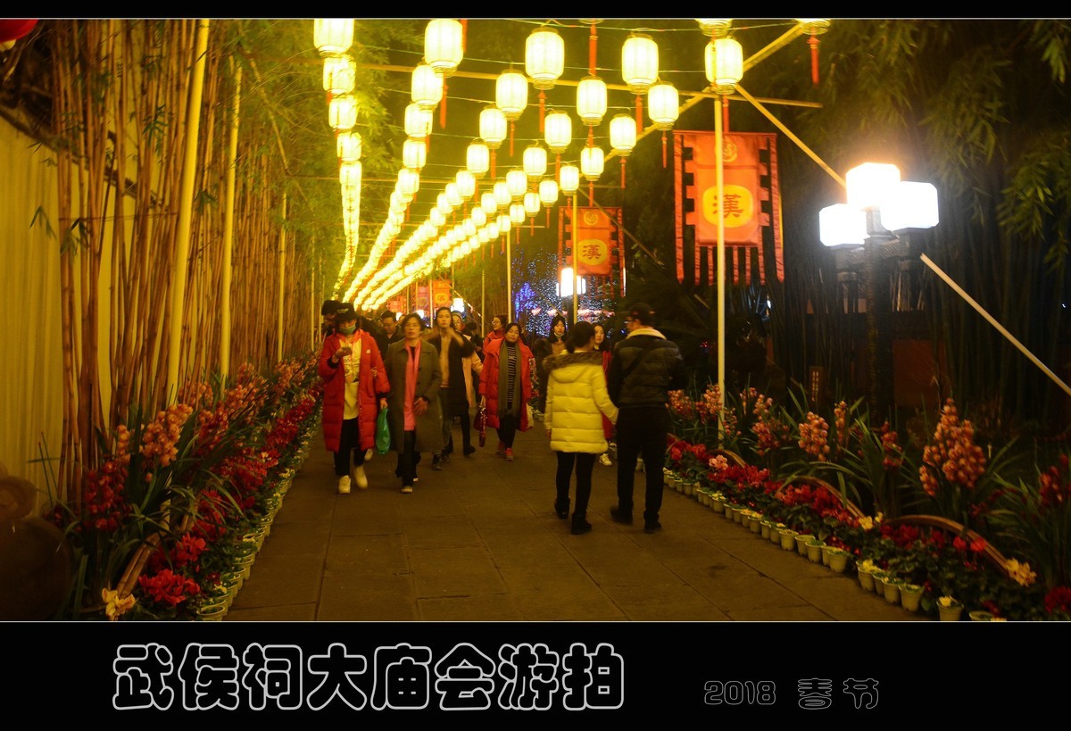 武侯祠大庙会夜游随拍(1)-中关村在线摄影论坛