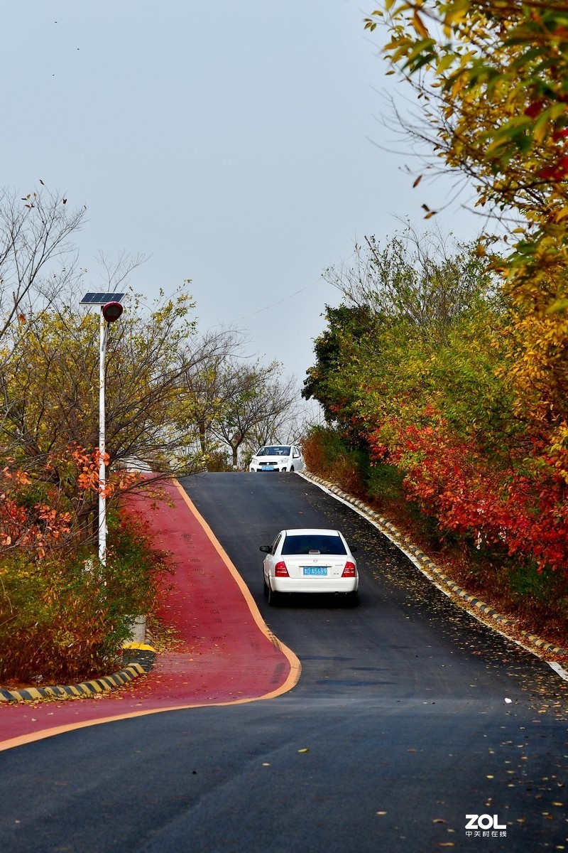 视觉光影深秋的色彩枣庄环城绿道2