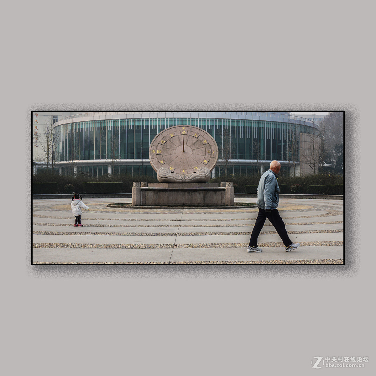 春天里的思念 --- 南理工拍花