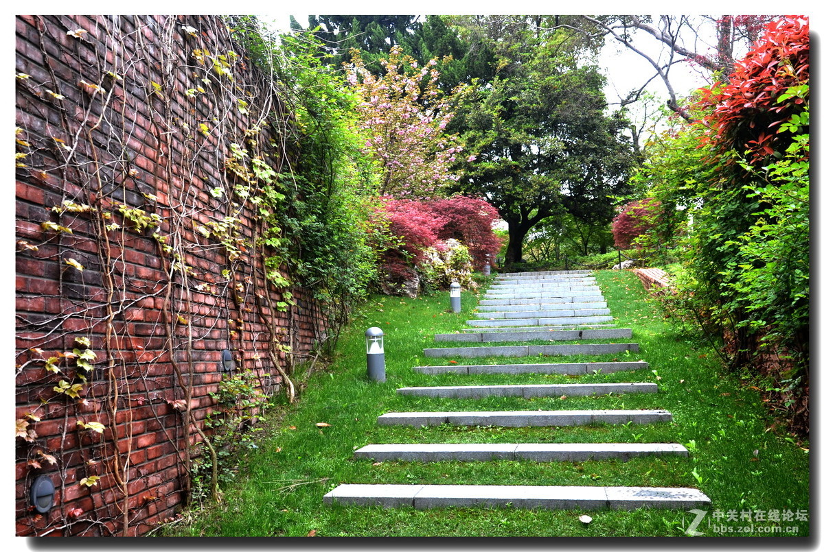 上海瑞金宾馆印象