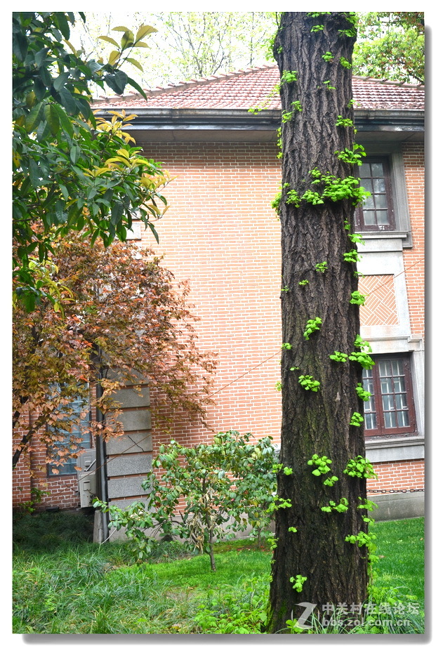 上海瑞金宾馆印象