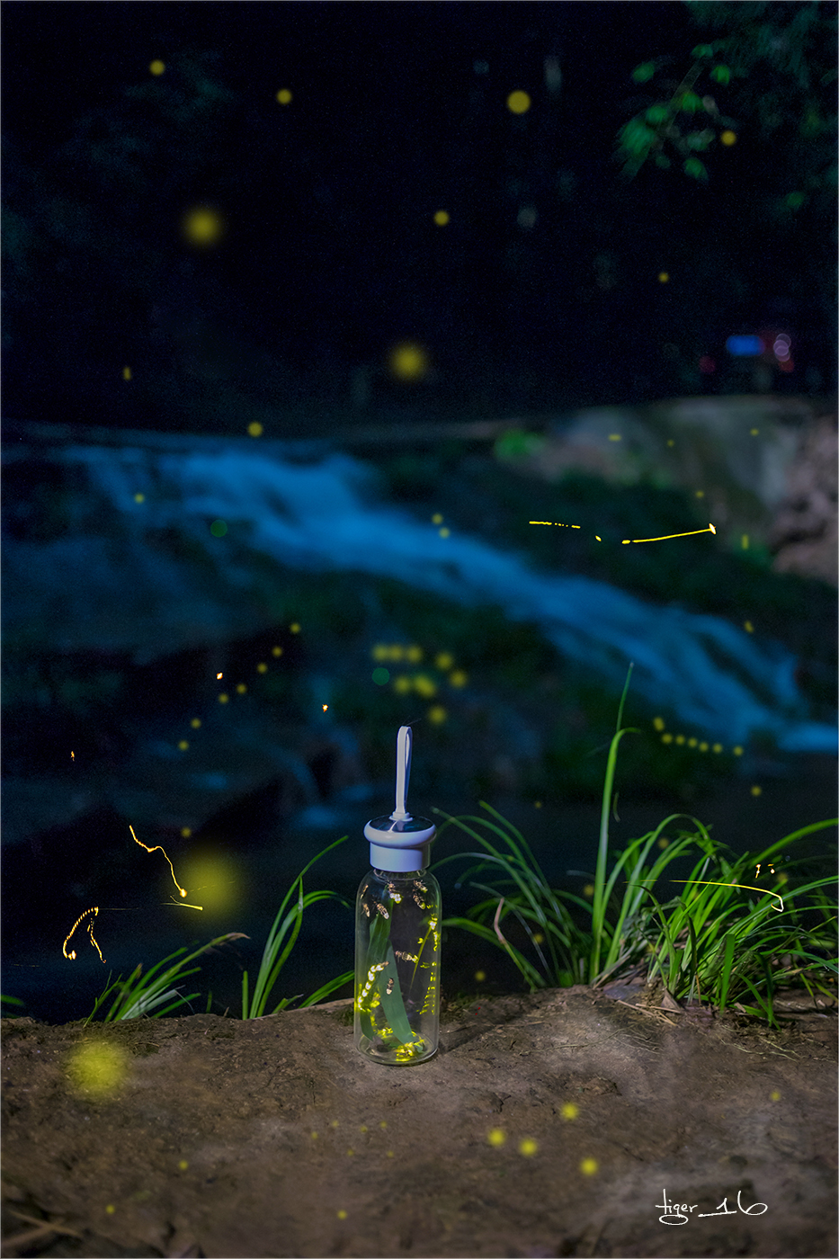 流萤飞舞