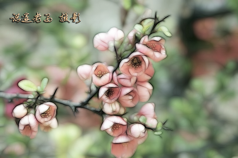 意之花
