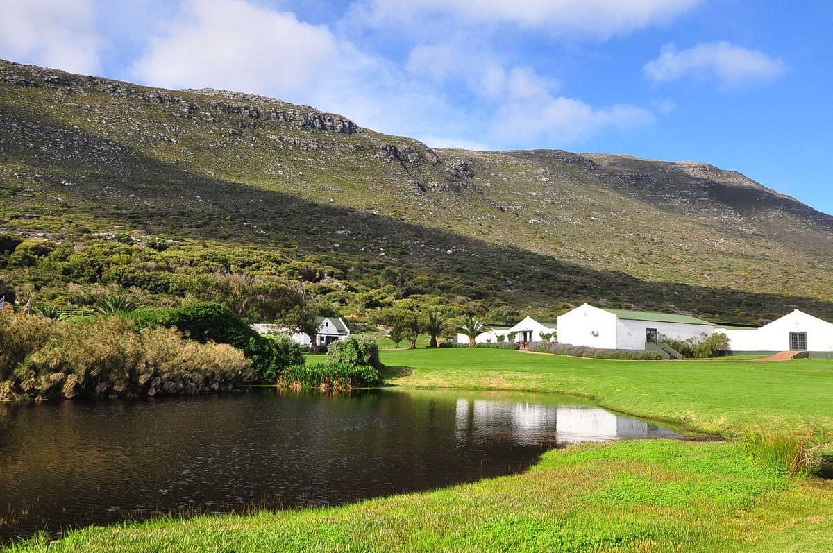 南非之旅（三）鸵鸟园（开普敦）