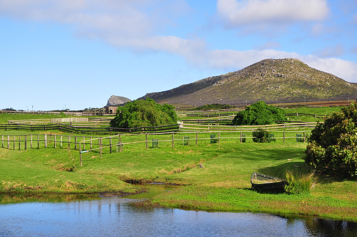 南非之旅（三）鸵鸟园（开普敦）