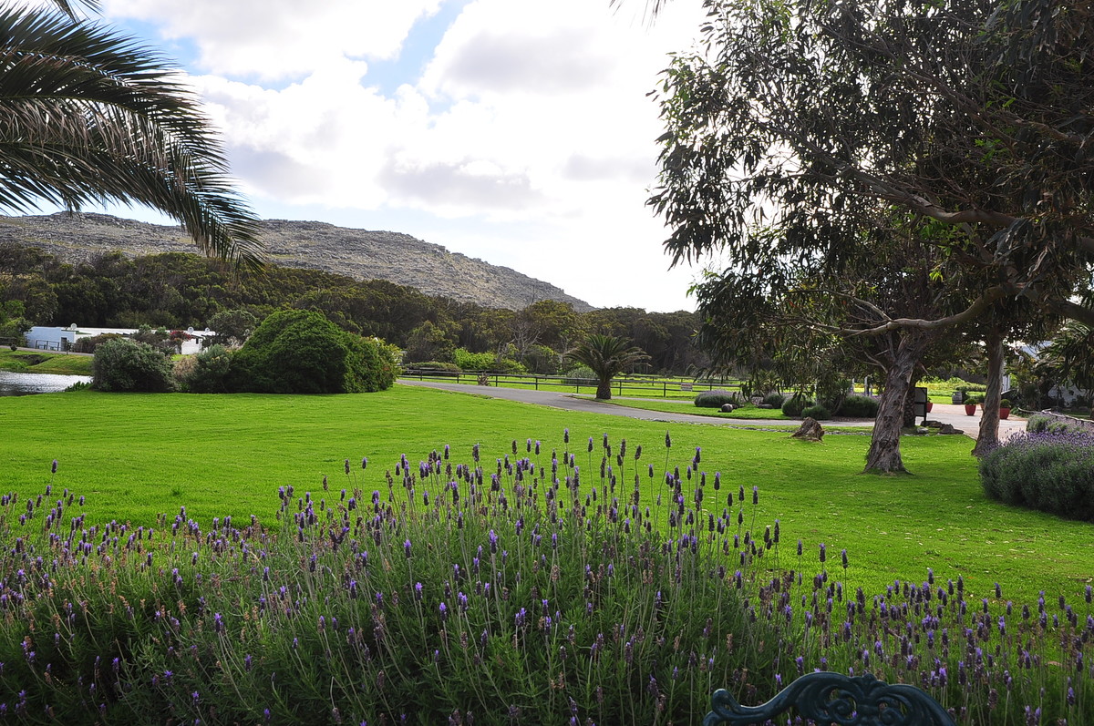 南非之旅（三）鸵鸟园（开普敦）