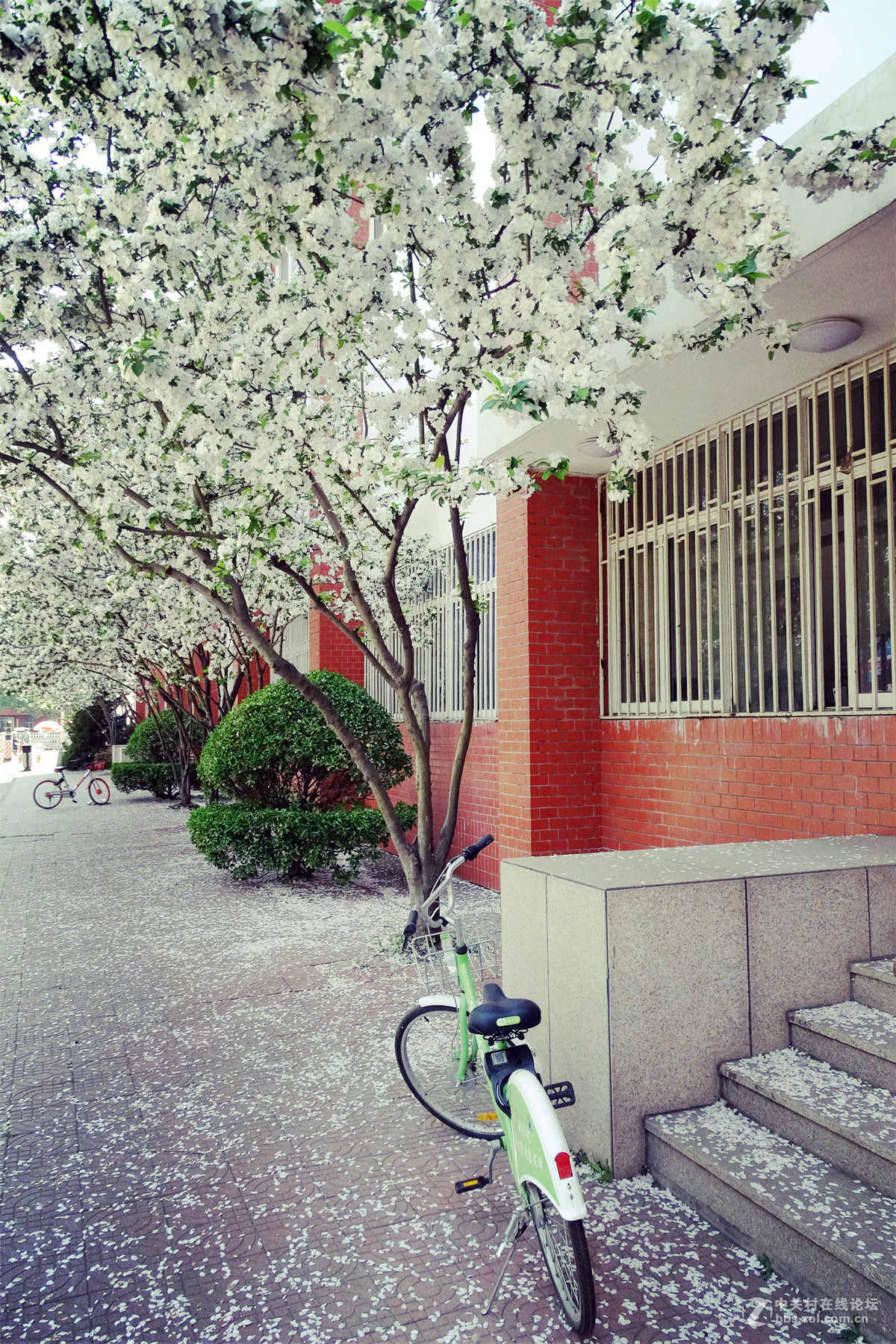 春意浓 万象更新