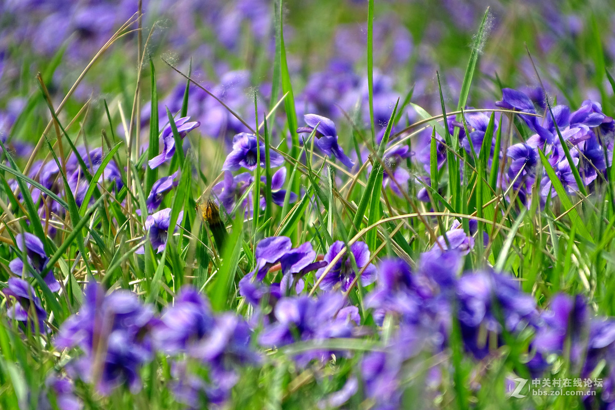 春意浓 万象更新