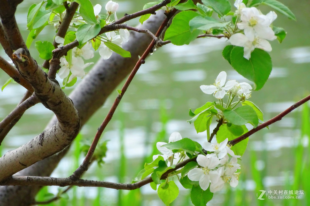 春意浓 万象更新