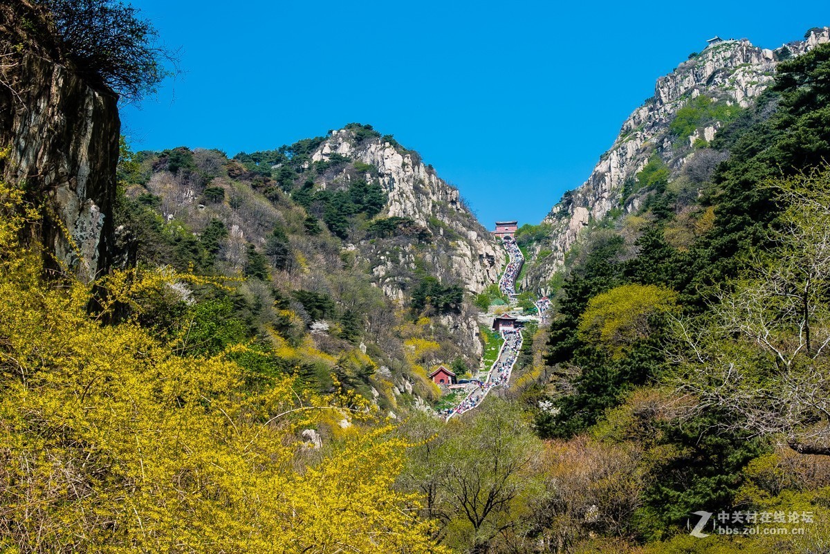 鏡頭裡第247號天下第一山泰山二