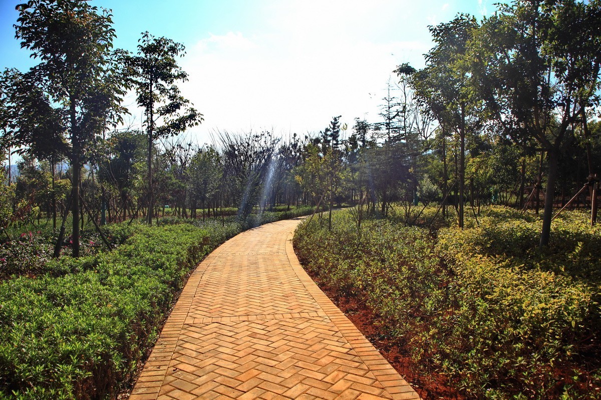 舒适的步道，优美的线条