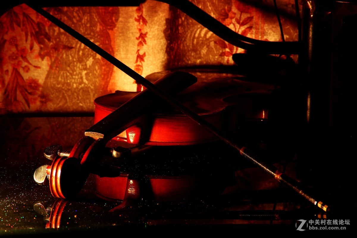 静物创意拍摄《午夜残琴的狂想曲》