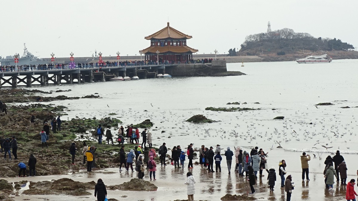 2019正月初四青岛栈桥海边观看海鸥