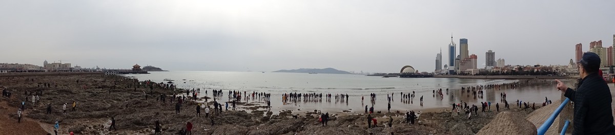 2019正月初四青岛栈桥海边观看海鸥