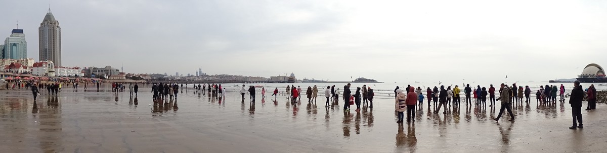 2019正月初四青岛栈桥海边观看海鸥