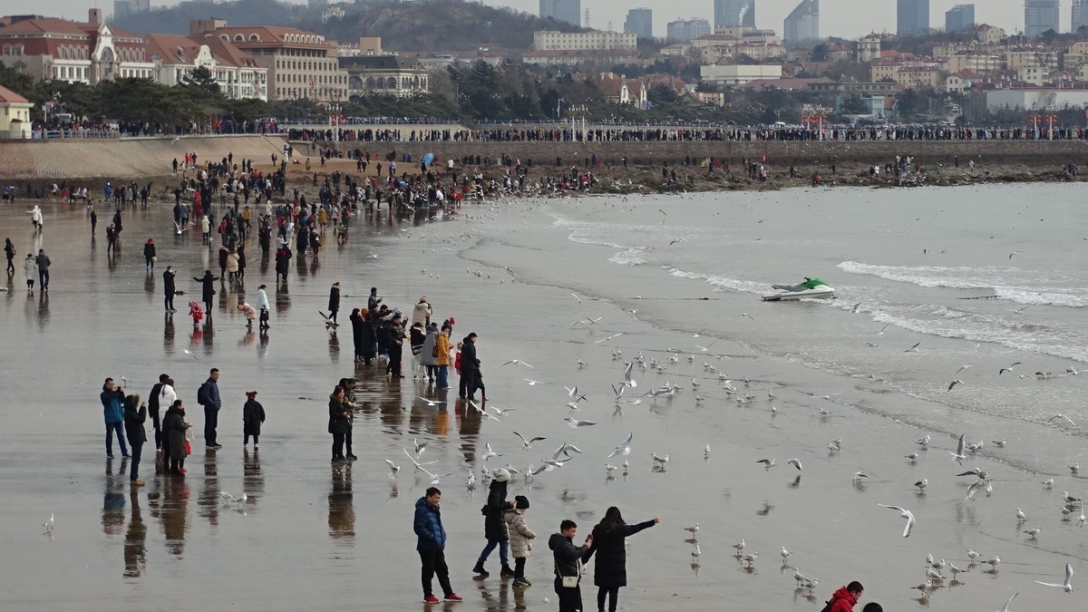 2019正月初四青岛栈桥海边观看海鸥