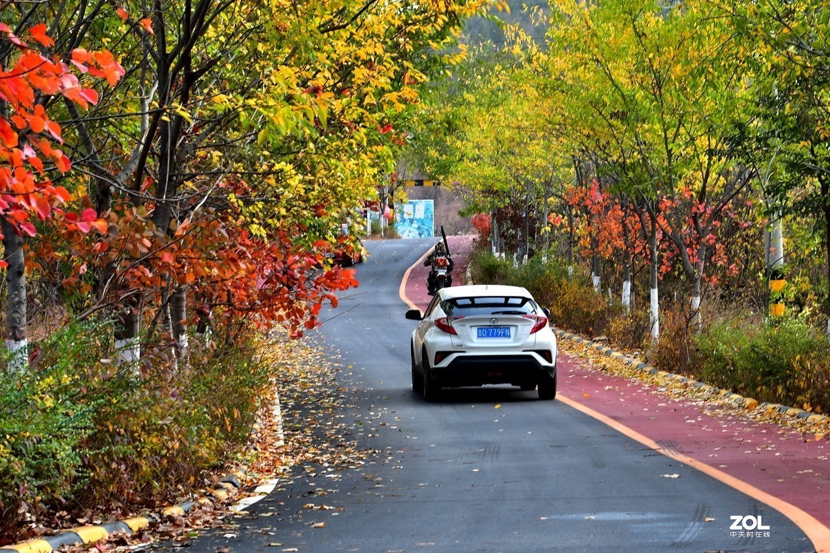 视觉光影深秋的色彩枣庄环城绿道2