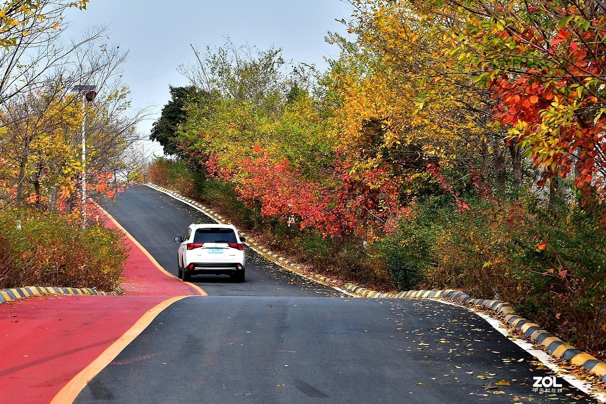 视觉光影深秋的色彩枣庄环城绿道2