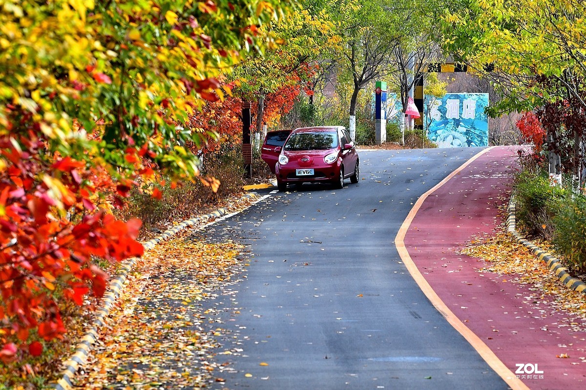 视觉光影深秋的色彩枣庄环城绿道2