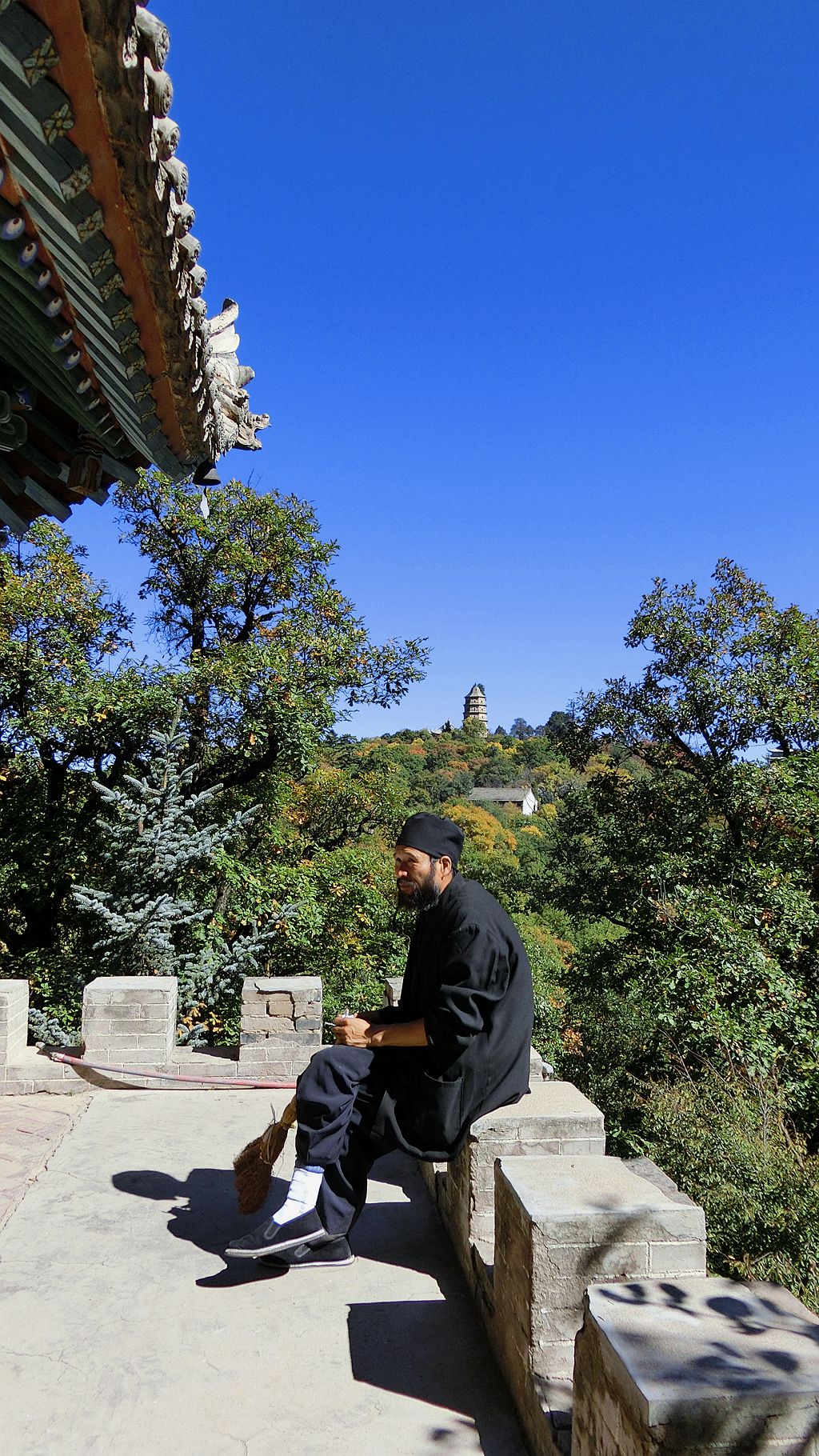 秋意渐浓人渐欢（四）