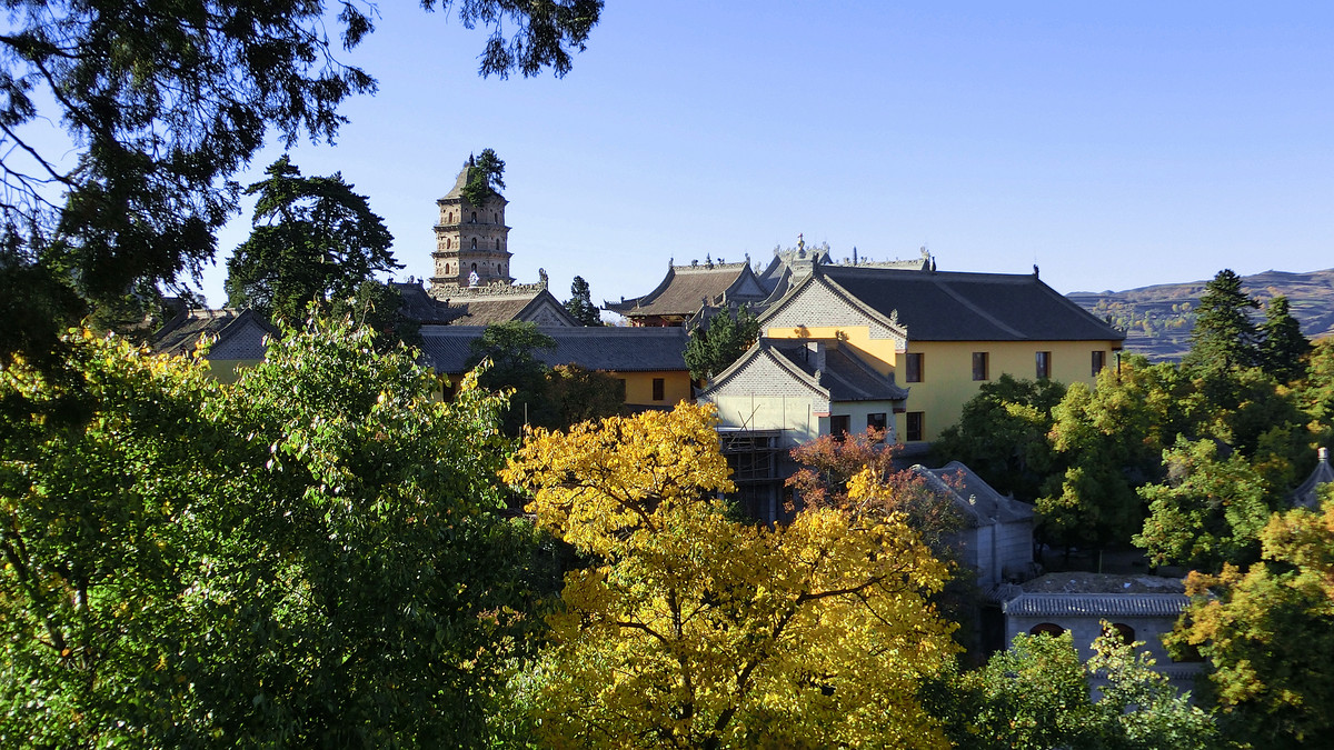 秋意渐浓人渐欢（四）