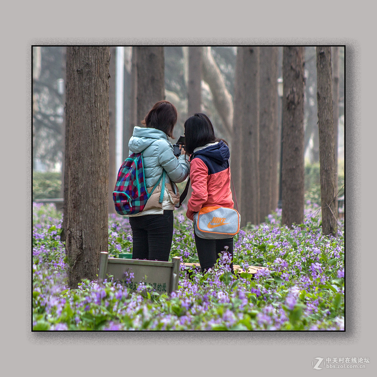 春天里的思念 --- 南理工拍花