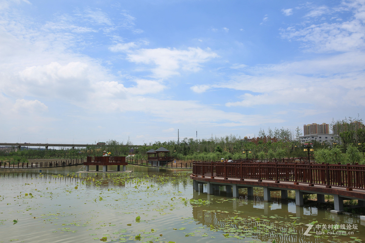 陕西富平县石川河景区 2-中关村在线摄影论坛