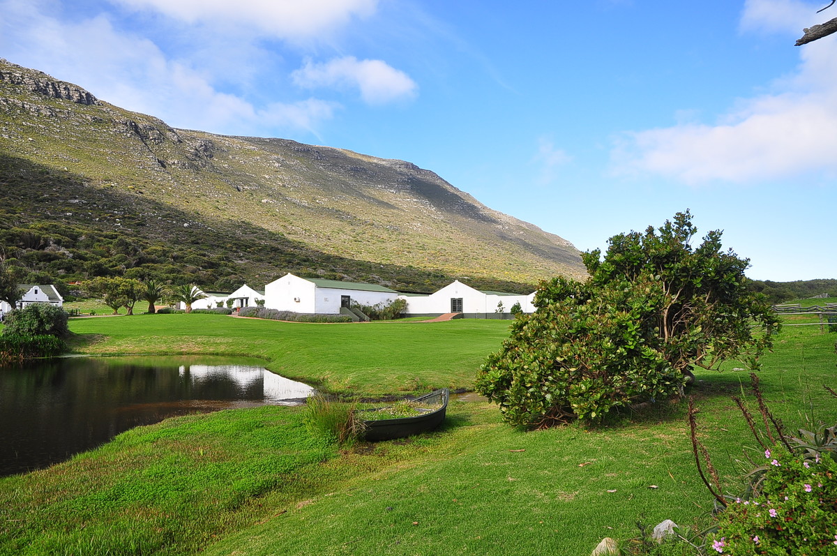 南非之旅（三）鸵鸟园（开普敦）