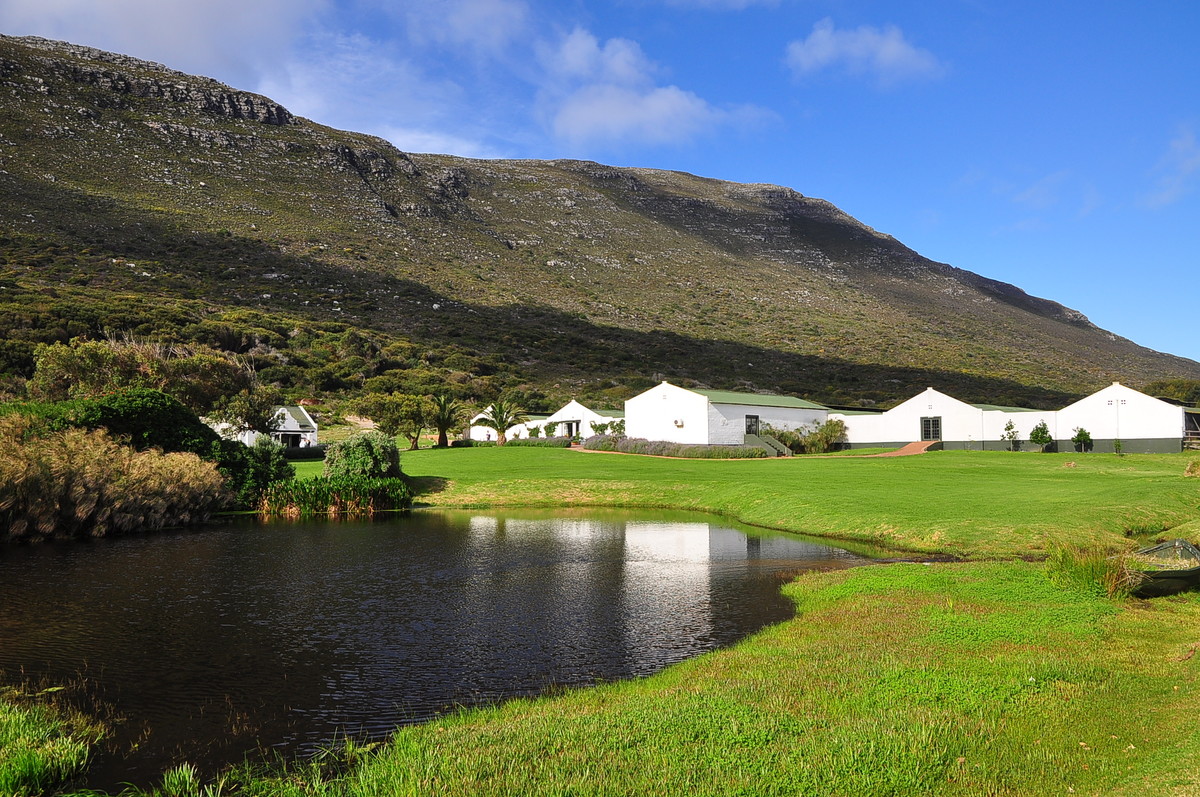 南非之旅（三）鸵鸟园（开普敦）