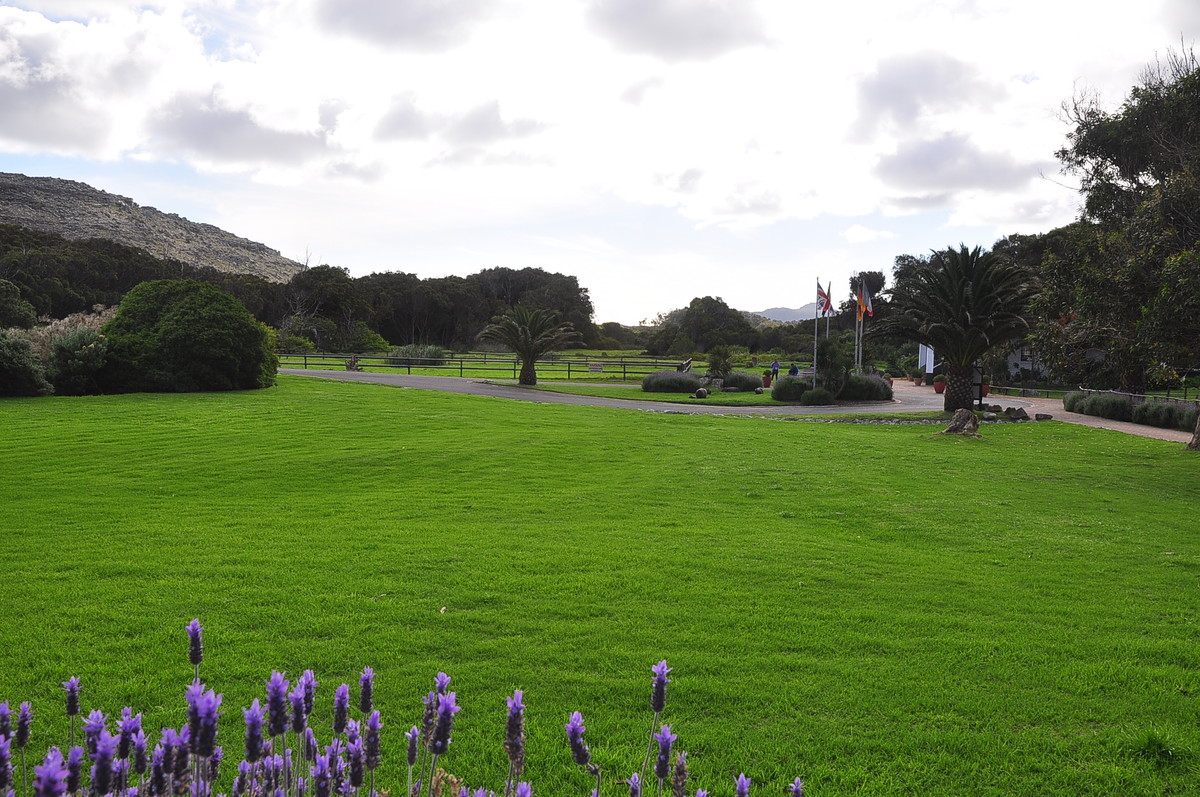 南非之旅（三）鸵鸟园（开普敦）