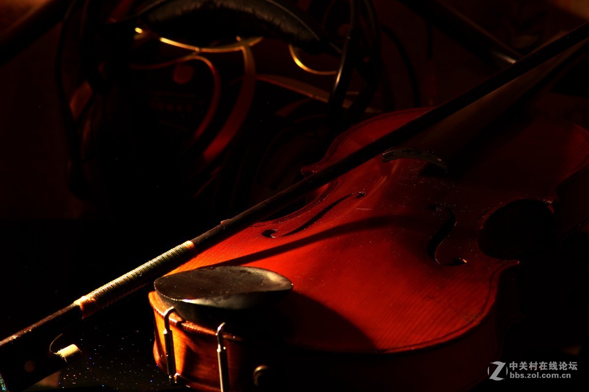 静物创意拍摄《午夜残琴的狂想曲》