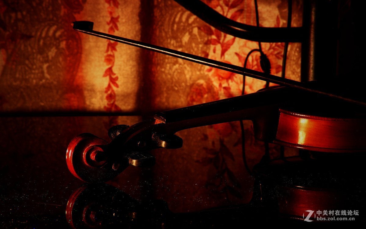 静物创意拍摄《午夜残琴的狂想曲》