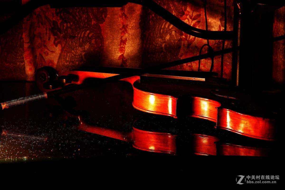 静物创意拍摄《午夜残琴的狂想曲》