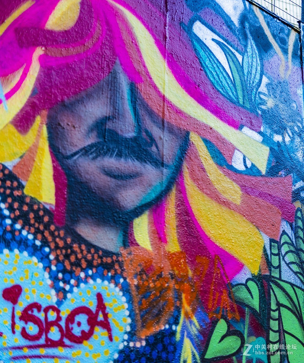 走进葡萄牙之9---------街头涂鸦