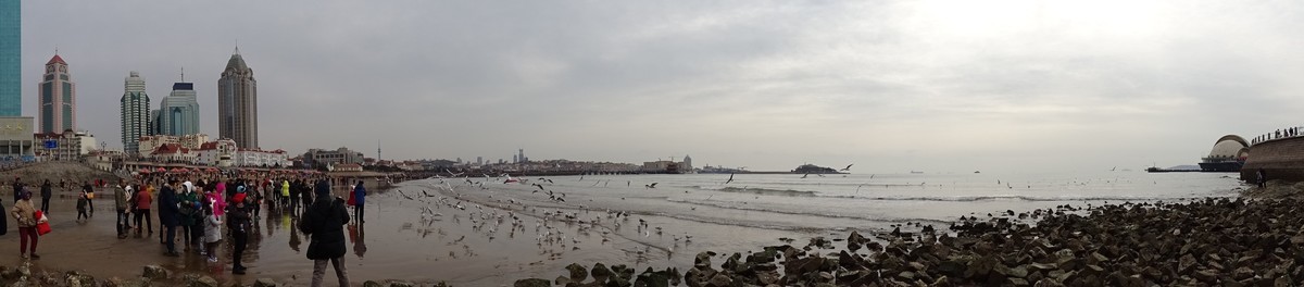 2019正月初四青岛栈桥海边观看海鸥