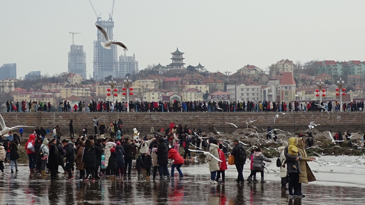 2019正月初四青岛栈桥海边观看海鸥