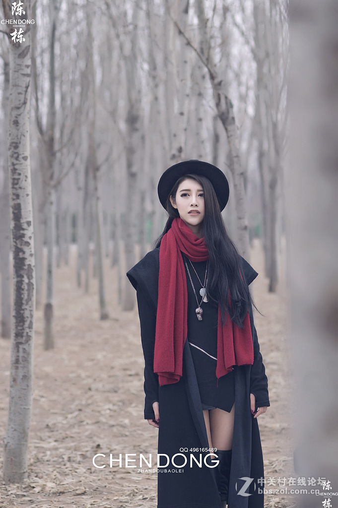 晚冬的白桦林 摄影师