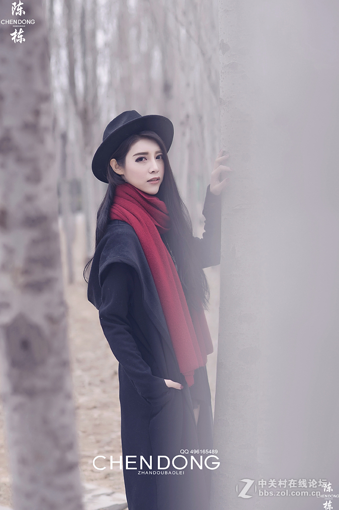 晚冬的白桦林 摄影师