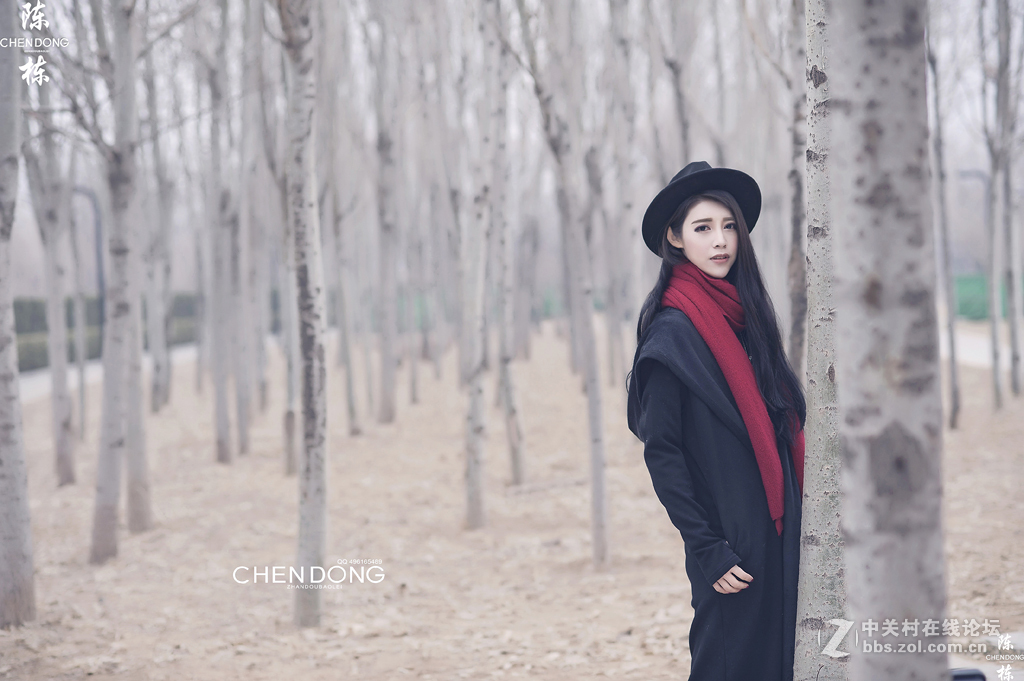 晚冬的白桦林 摄影师