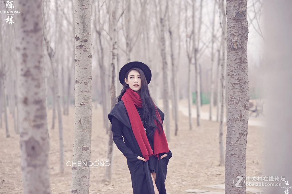 晚冬的白桦林 摄影师