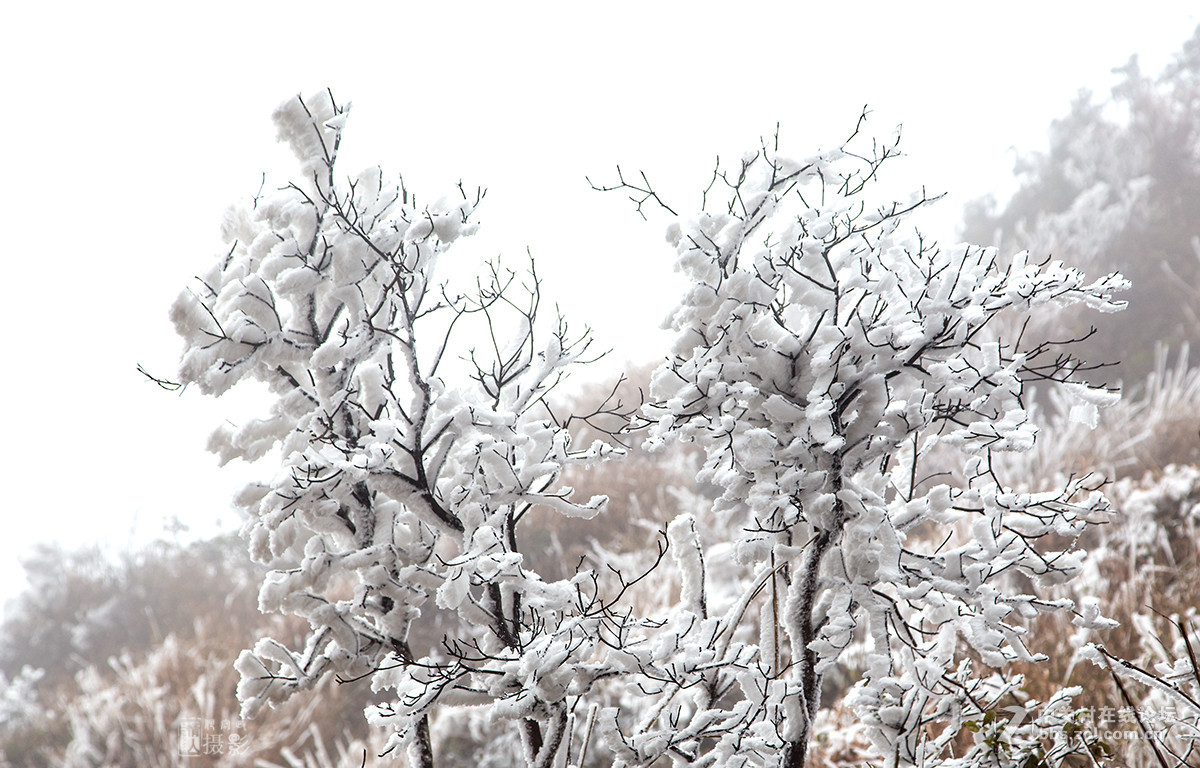 冰天雪地