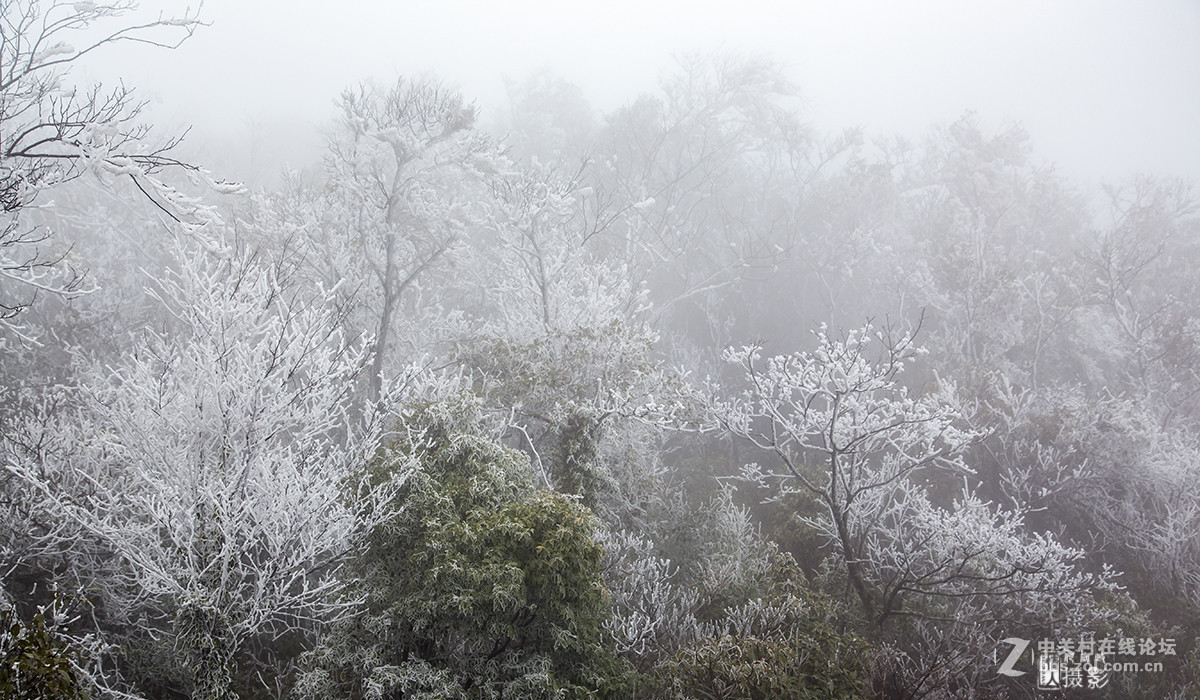 冰天雪地