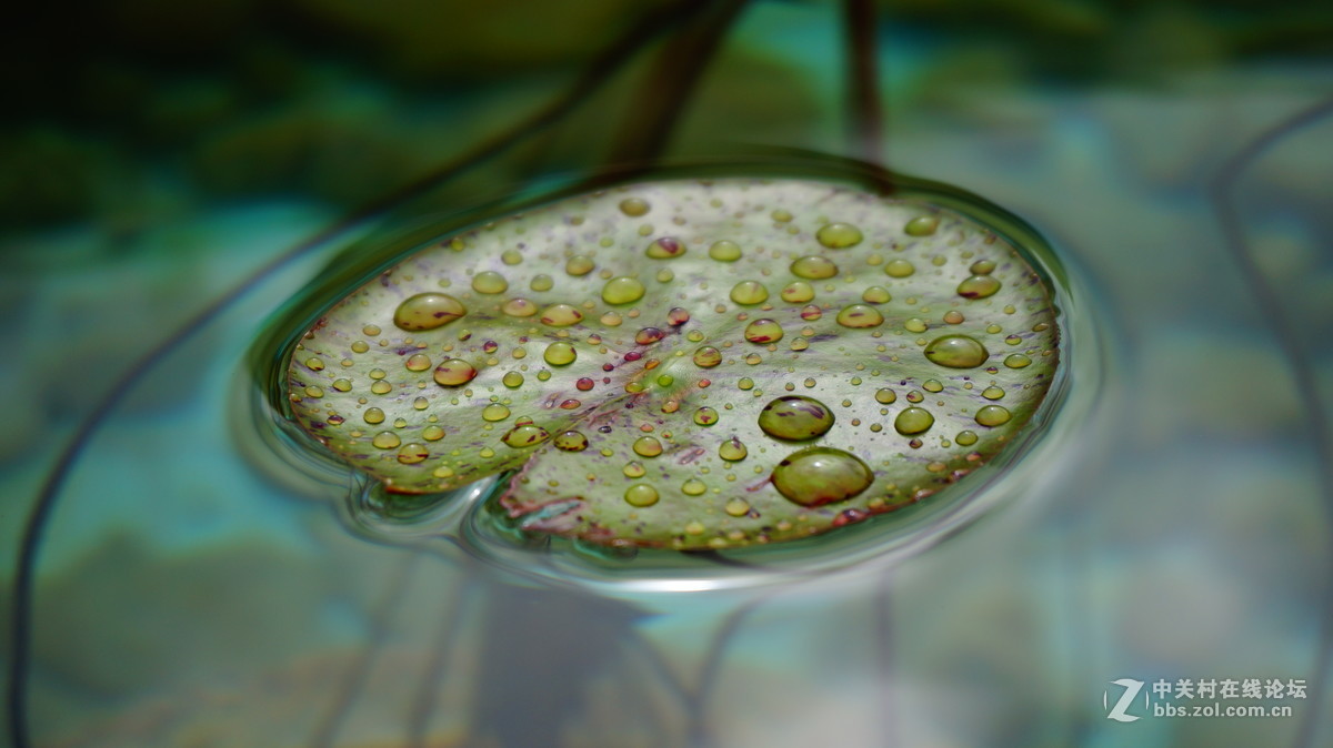 发点平时5R拍的片子~~